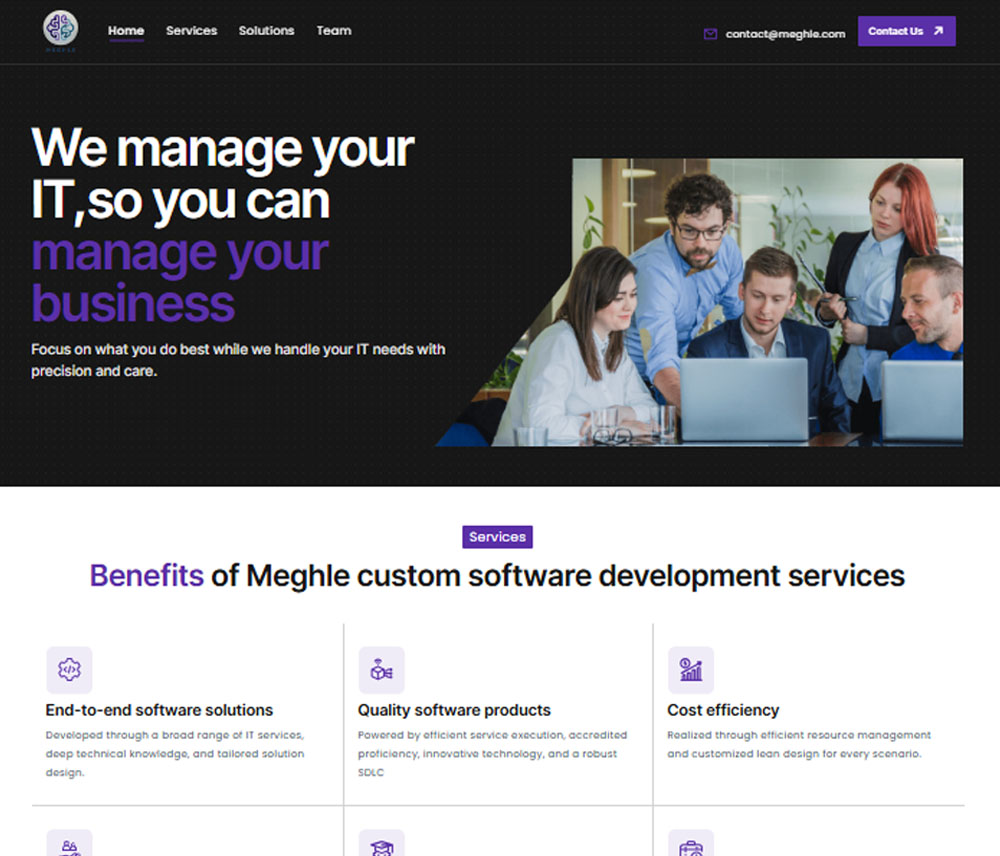 Meghle Software Solutions - Website Project